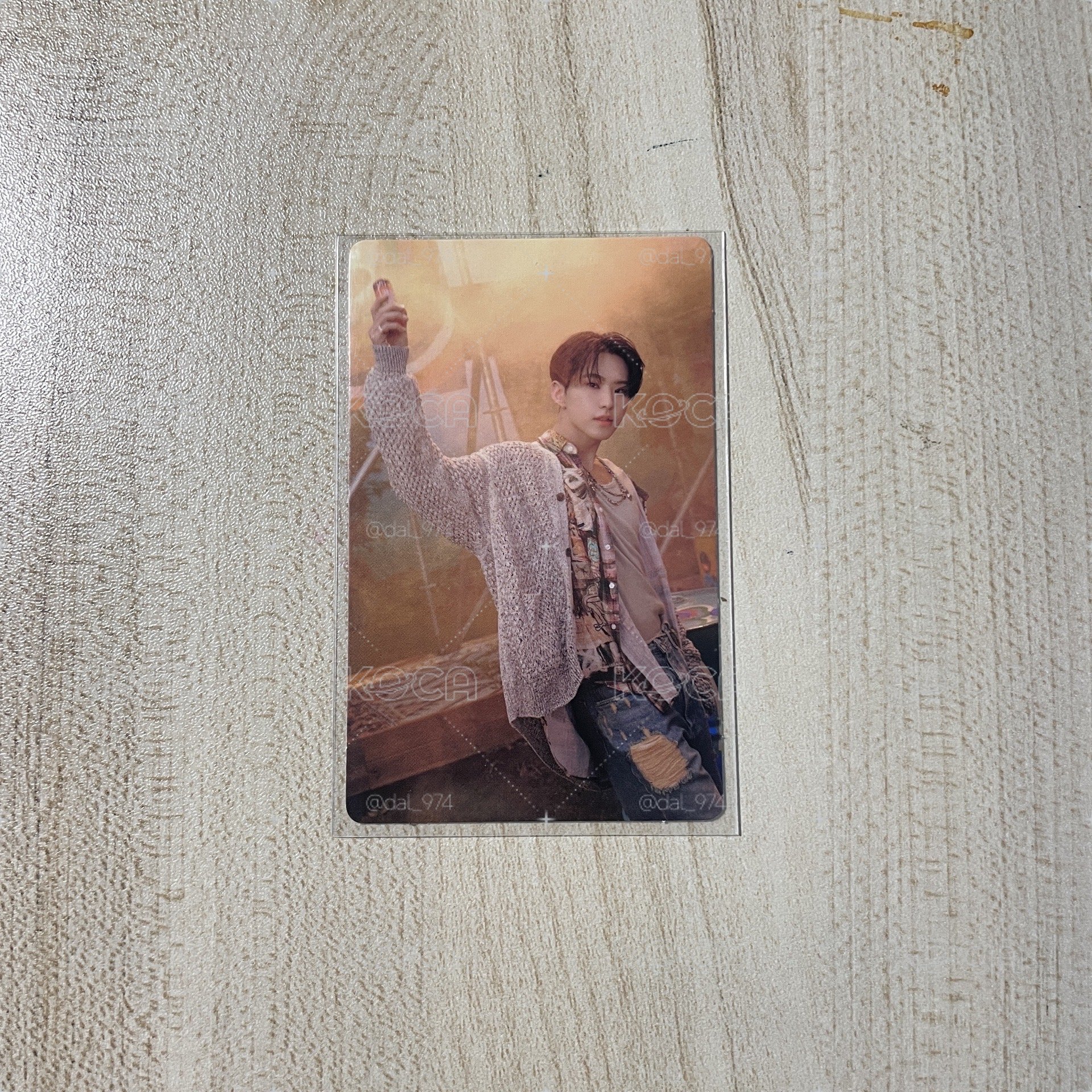 迷11 wvs特典 Hoshi