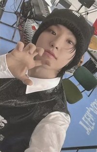 精選專 wvs gv 特典卡 