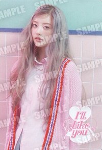 萬代 周邊卡 餅乾卡