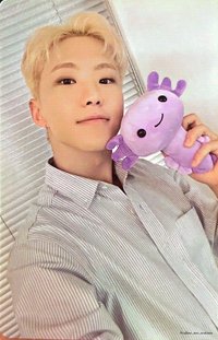 墨西哥快閃店 滿額卡 蠑螈卡