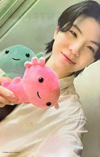 墨西哥快閃店 滿額卡 蠑螈卡