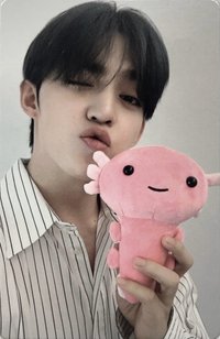 墨西哥快閃店 滿額卡 蠑螈卡