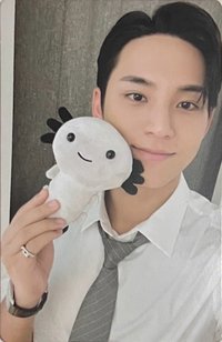 MINI12 墨西哥快閃店 滿額卡 蠑螈卡