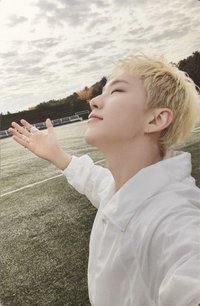 ‘TELEPARTY’ 專輯卡 電子專WVS ver.