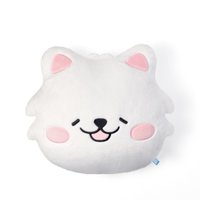 FIM’S CLUB 抱枕 ZUHARONG