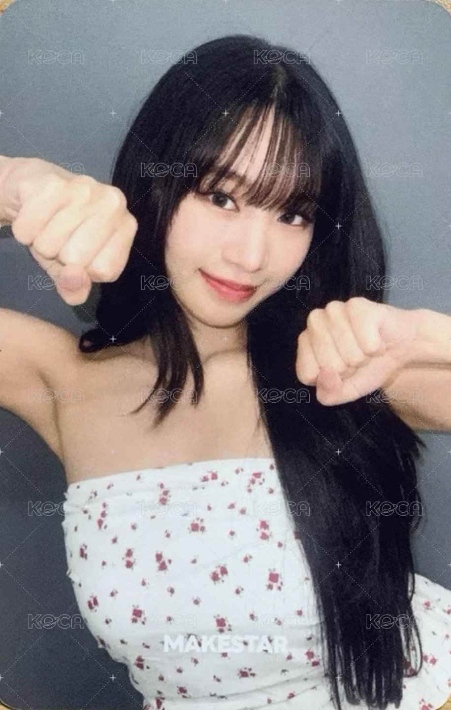 224 ms 台北 簽售卡 雛菊 ver. 背面