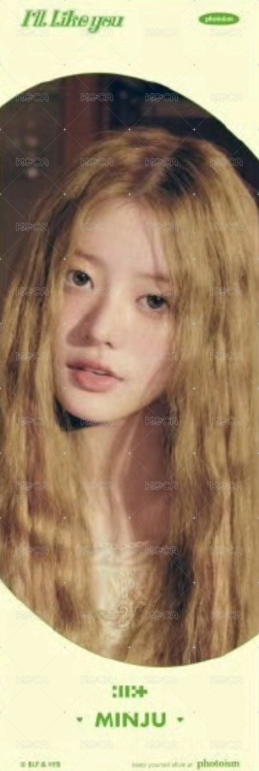 PHOTOISM 人生四格卡 I’ll Like You 快閃店 背面