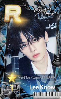 SUPERSTAR 遊戲卡 World Tour<dominATE JAPAN>