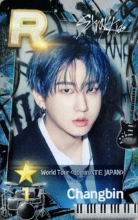 SUPERSTAR 遊戲卡 World Tour<dominATE JAPAN>