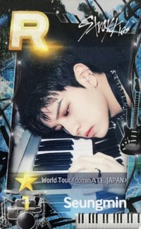 SUPERSTAR 遊戲卡 World Tour<dominATE JAPAN>