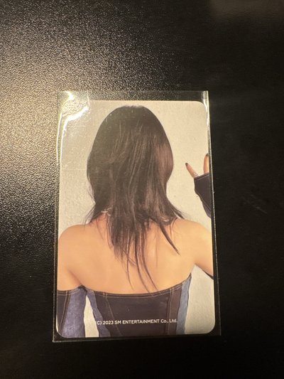 aespa Karina 聖誕立牌柚