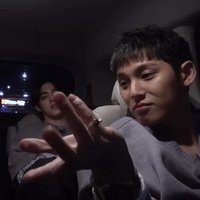 向日葵
