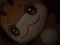 SaSa