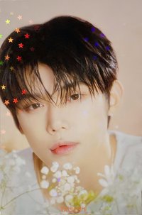 25’巡迴 日巡 隨機卡 