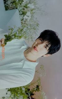 25’巡迴 日巡 隨機卡 