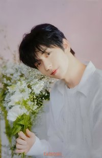 25’巡迴 日巡 隨機卡 