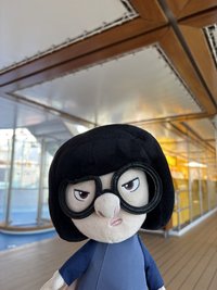 DMG（多帶可議，急件告知可先寄出）