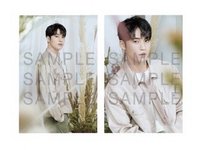 24’CAFE MG 明信片組 