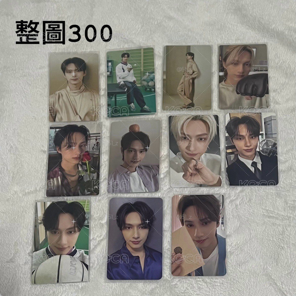 俊小盤300