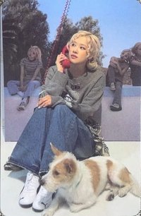 rosie 滿額卡 上海快閃