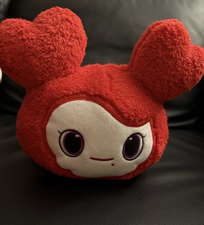 TWICE 彩瑛GIGO抱娃