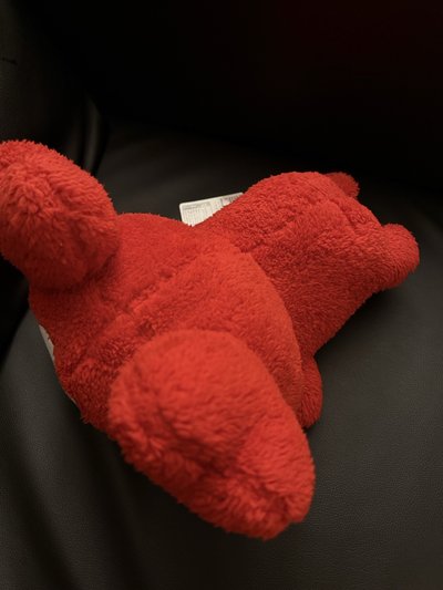 TWICE 彩瑛GIGO抱娃