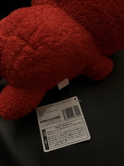 TWICE 彩瑛GIGO抱娃