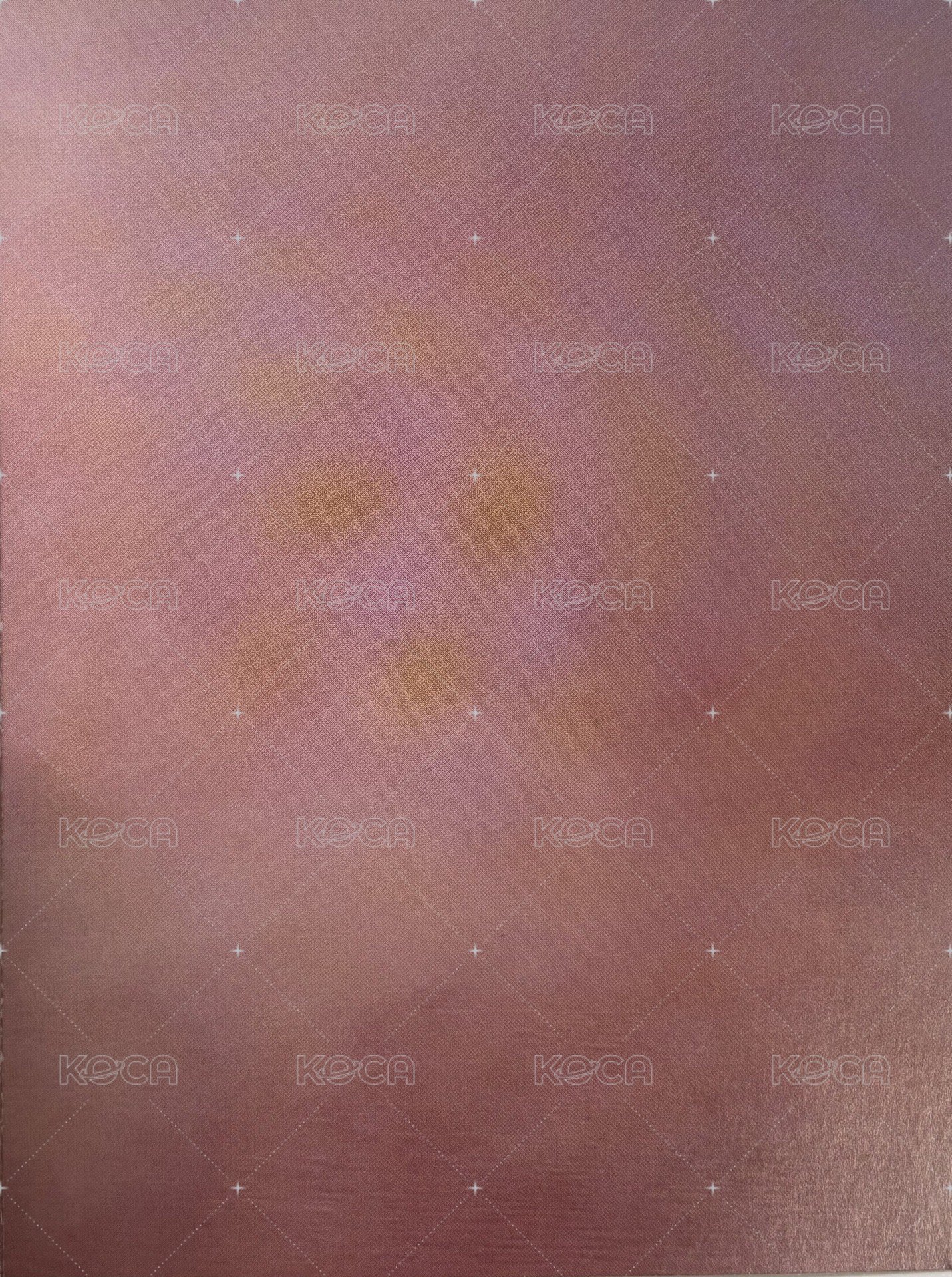 23‘巡迴 入場卡 / 場限卡 日巡折頁 背面