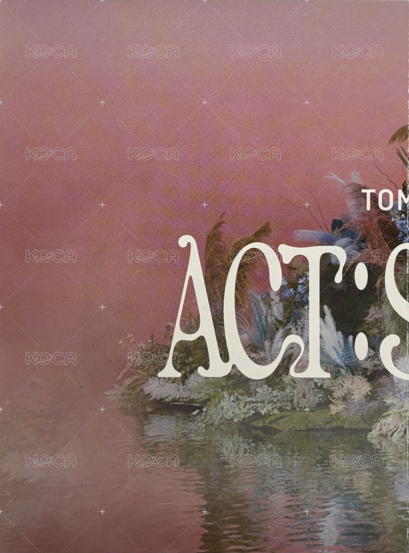 23‘巡迴 入場卡 / 場限卡 日巡折頁 背面