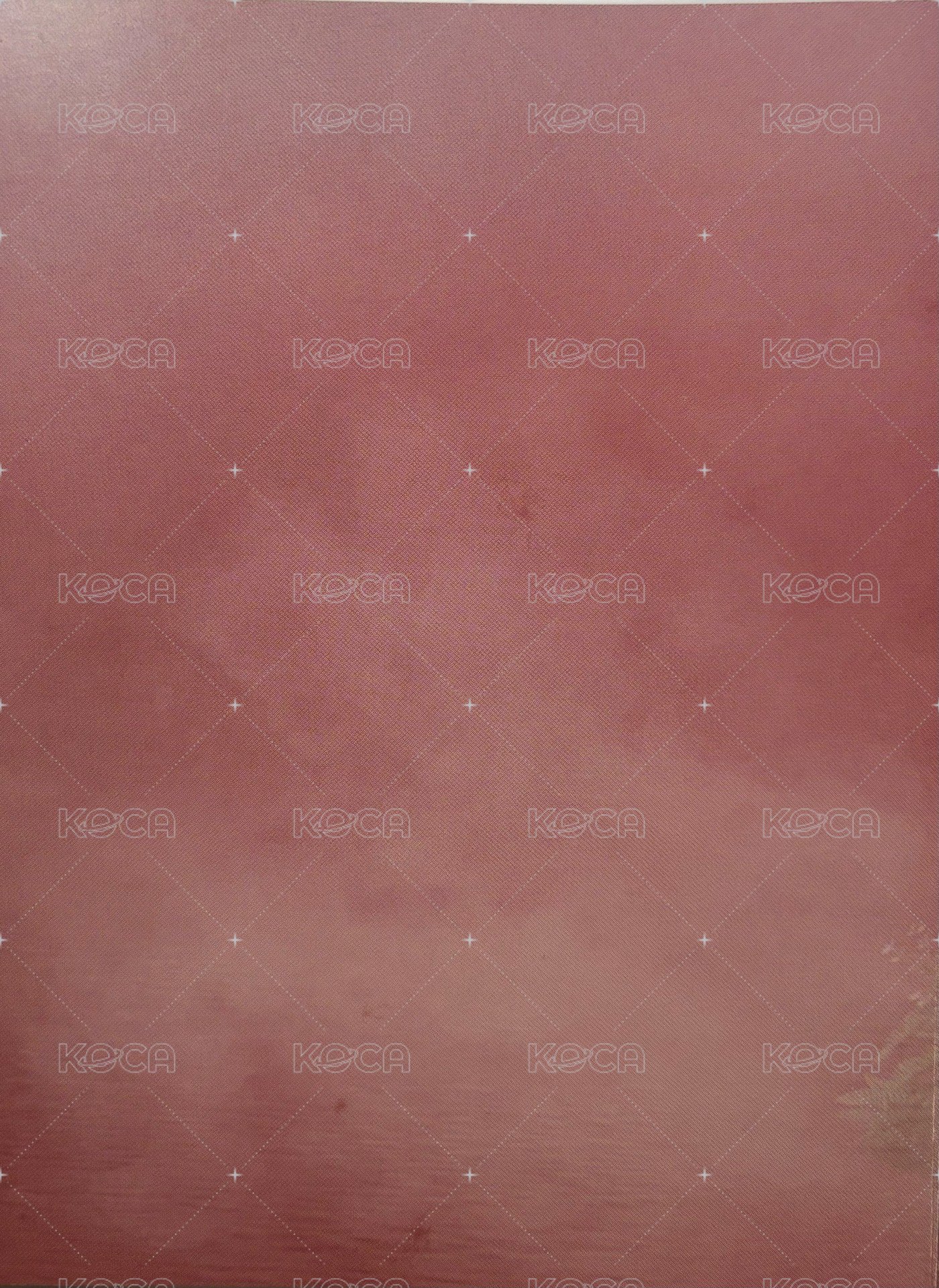 23‘巡迴 入場卡 / 場限卡 日巡折頁 背面