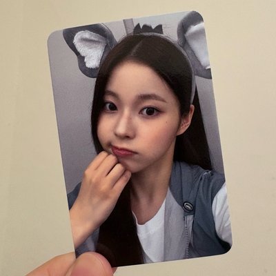 小飛象 圭 中背