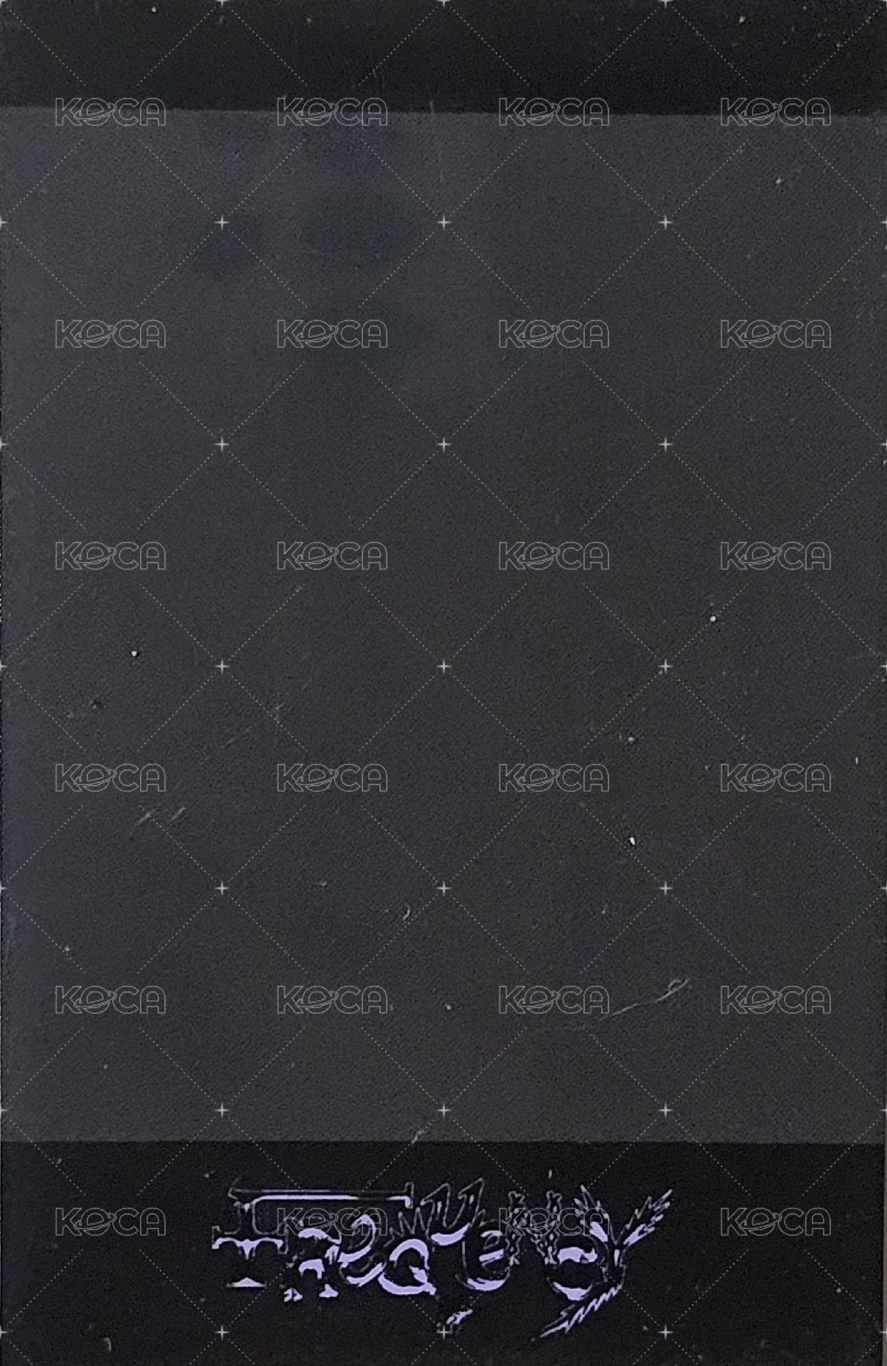 FREQUENCY sr 特典卡 拍立得 背面