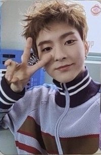 HELLO,WORLD! 周邊卡 卡套組