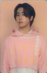 2024 日本年曆 年曆卡 