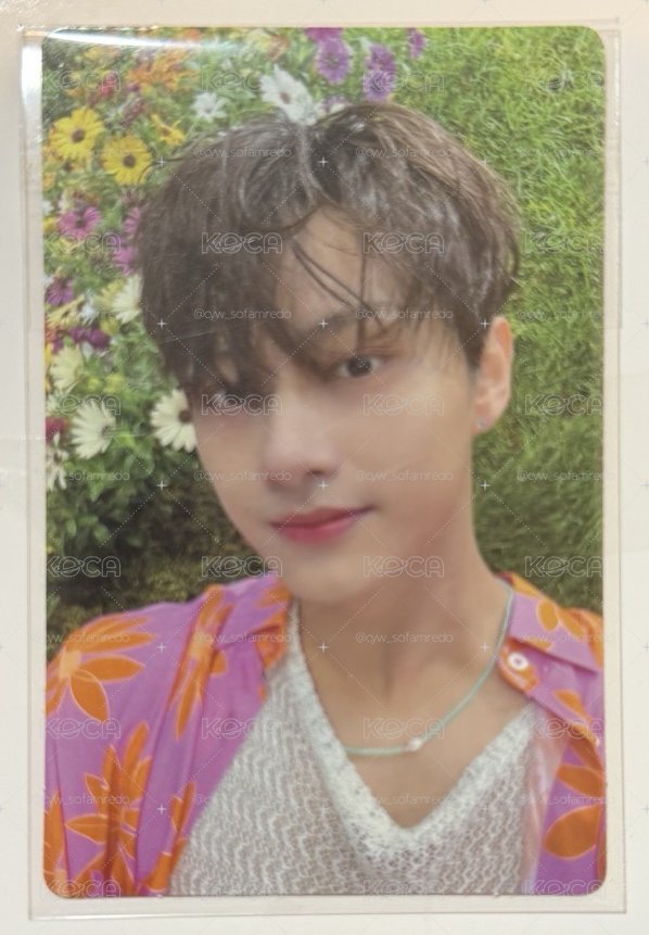 Sector17專卡 Carat ver.