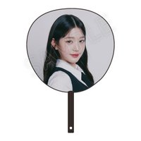 SHOW WHAT I HAVE 日巡 扇子 