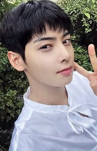 2022 SEASON'S GREETINGS 年曆卡 Tea ver.