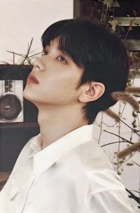 24’巡迴 日巡 隨機卡 