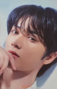 25’巡迴 日巡 隨機卡 