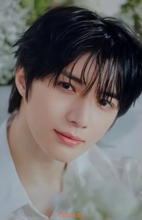 25’巡迴 日巡 隨機卡 