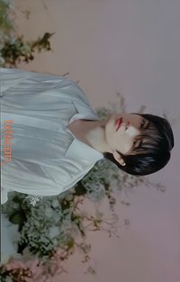 25’巡迴 日巡 隨機卡 