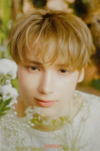 25’巡迴 日巡 隨機卡 