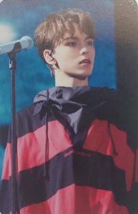 HARU 演唱會 DVD / CD 卡 