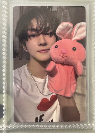 正二 wvs 特典元