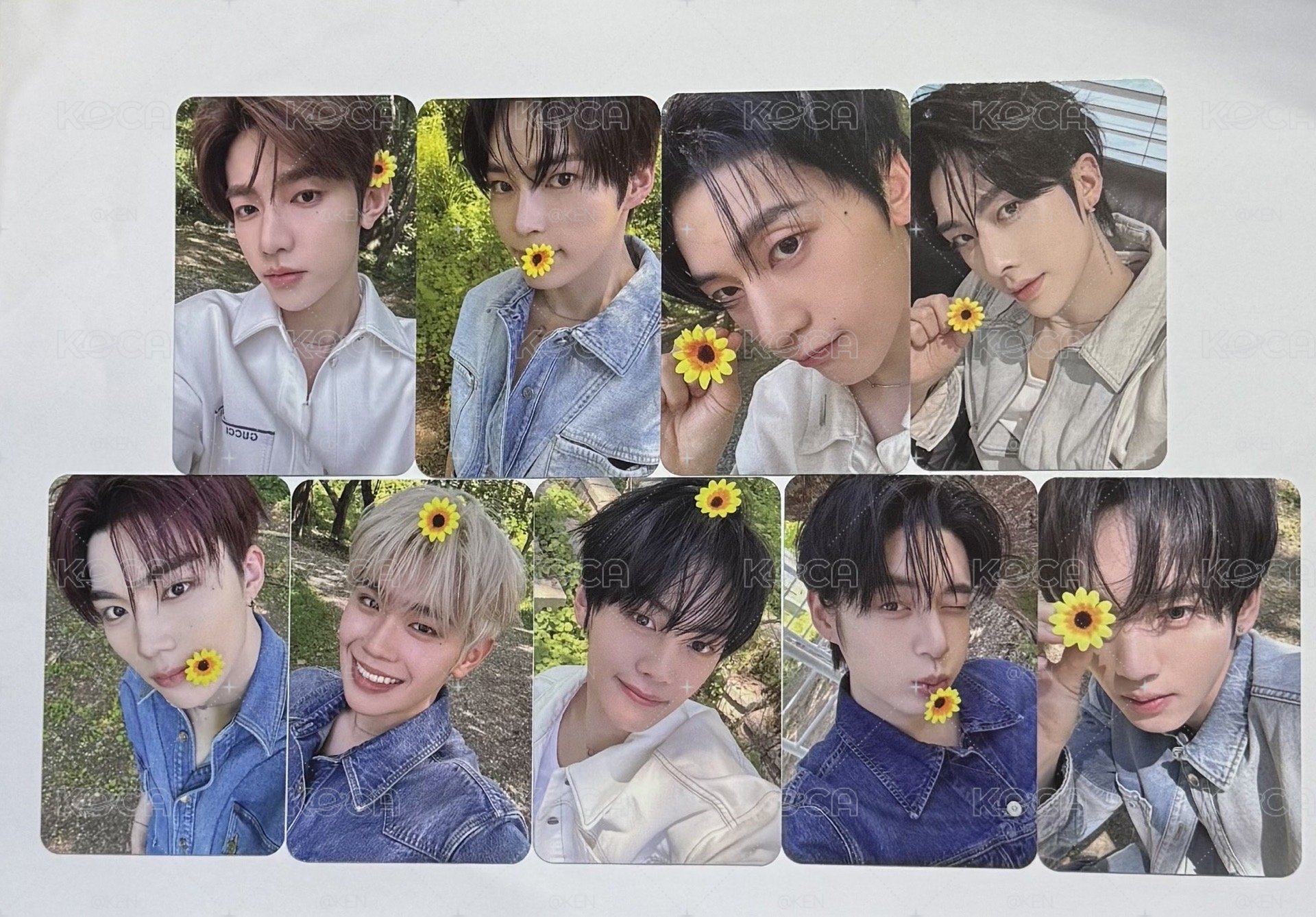 zb1-mk花🌻