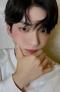 Starkissed 隨機卡 