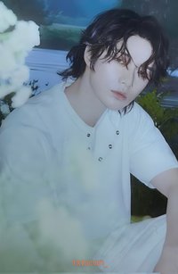 Starkissed 隨機卡 