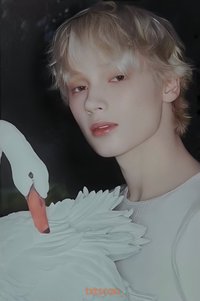 Starkissed 隨機卡 