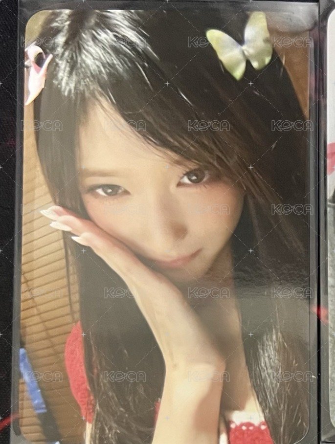 瑞蝴蝶
