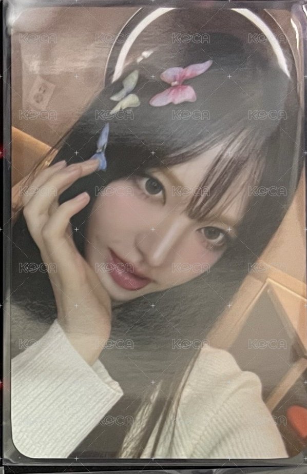 Liz蝴蝶